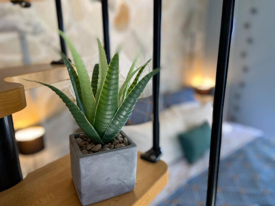 Cocooning Tropic Studio Avec Jacuzzi Privatif Saint-Louis Exterior photo